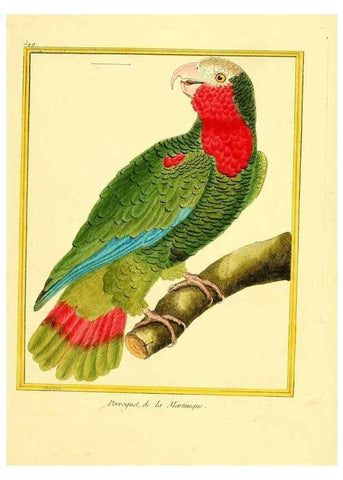 Reproducción/Reproduction 49640291672: Planches enluminées d'histoire naturelle. Paris? :s.n.,1765-1783?. 