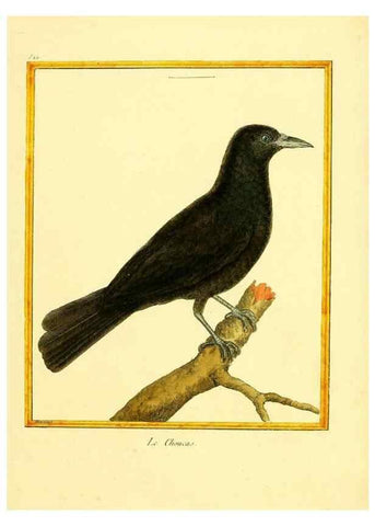 Reproducción/Reproduction 49640011166: Planches enluminées d'histoire naturelle. Paris? :s.n.,1765-1783?. 