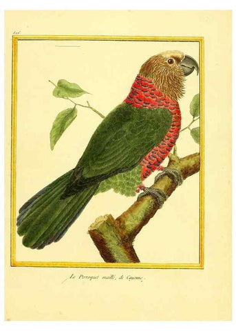 Reproducción/Reproduction 49640012296: Planches enluminées d'histoire naturelle. Paris? :s.n.,1765-1783?. 