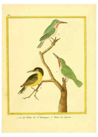 Reproducción/Reproduction 49640028436: Planches enluminées d'histoire naturelle. Paris? :s.n.,1765-1783?. 