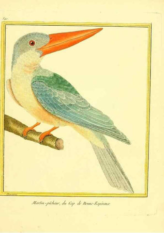 Reproducción/Reproduction 49640029686: Planches enluminées d'histoire naturelle. Paris? :s.n.,1765-1783?. 