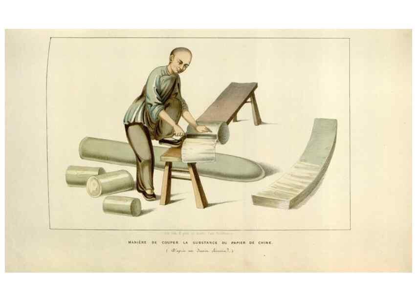 Reproducción/Reproduction 49642946163: Flore des serres et des jardins de l'Europe. A Gand :chez Louis van Houtte, eÌditeur,1845-1880.. 