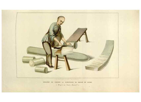 Reproducción/Reproduction 49642946163: Flore des serres et des jardins de l'Europe. A Gand :chez Louis van Houtte, eÌditeur,1845-1880.. 