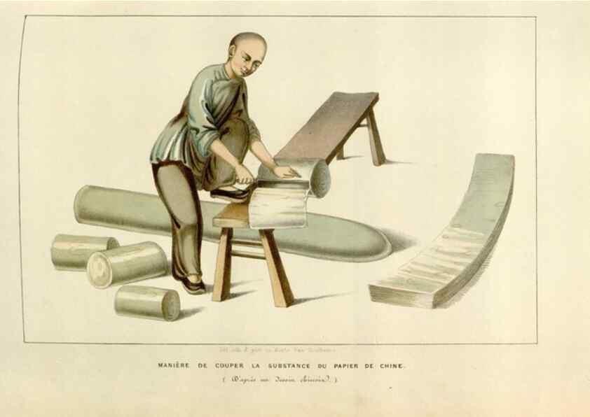 Reproducción/Reproduction 49642946163: Flore des serres et des jardins de l'Europe. A Gand :chez Louis van Houtte, eÌditeur,1845-1880.. 