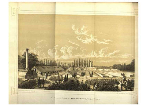 Reproducción/Reproduction 49643751907: Flore des serres et des jardins de l'Europe. A Gand :chez Louis van Houtte, eÌditeur,1845-1880.. 