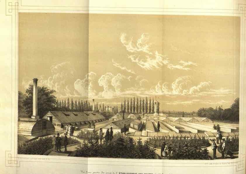Reproducción/Reproduction 49643751907: Flore des serres et des jardins de l'Europe. A Gand :chez Louis van Houtte, eÌditeur,1845-1880.. 
