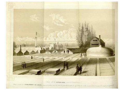 Reproducción/Reproduction 49643752217: Flore des serres et des jardins de l'Europe. A Gand :chez Louis van Houtte, eÌditeur,1845-1880.. 