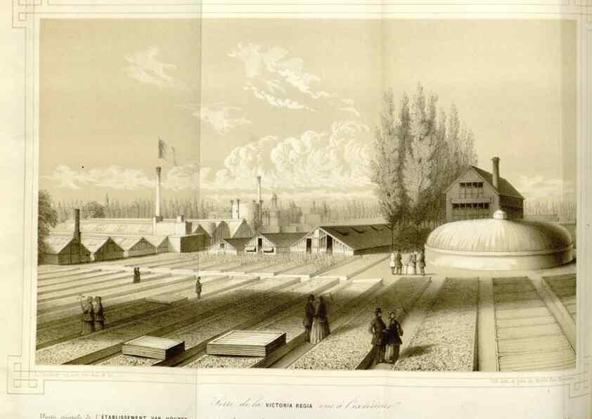 Reproducción/Reproduction 49643752217: Flore des serres et des jardins de l'Europe. A Gand :chez Louis van Houtte, eÌditeur,1845-1880.. 