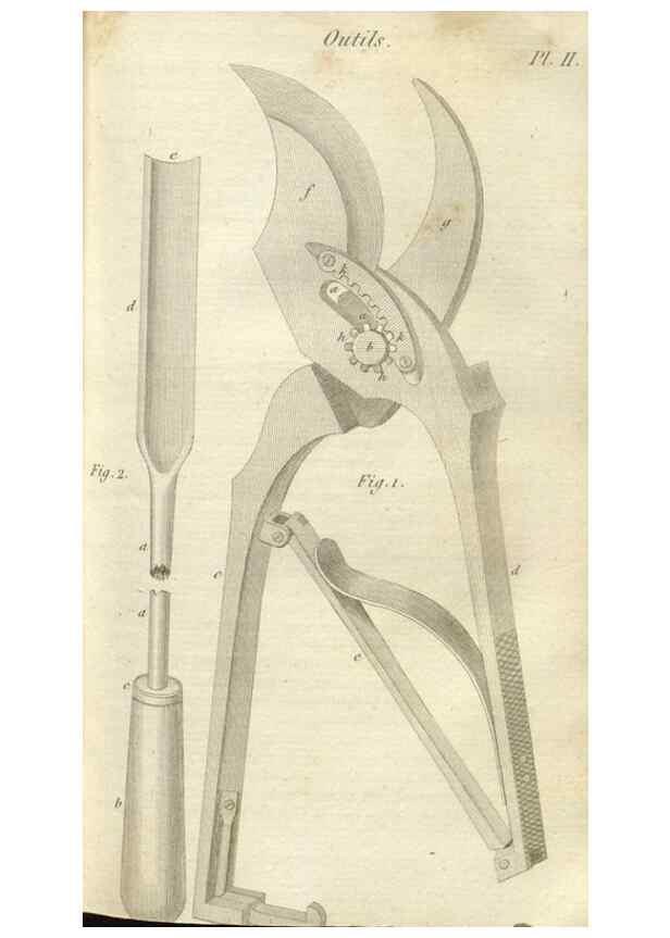 Reproducción/Reproduction 49643837977: Revue horticole.. Paris :Librairie agricole de la maison rustique,1829-1974.. 