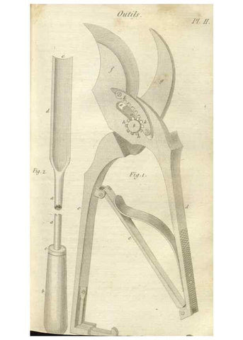Reproducción/Reproduction 49643837977: Revue horticole.. Paris :Librairie agricole de la maison rustique,1829-1974.. 