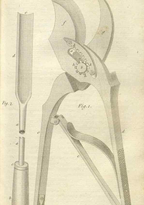 Reproducción/Reproduction 49643837977: Revue horticole.. Paris :Librairie agricole de la maison rustique,1829-1974.. 