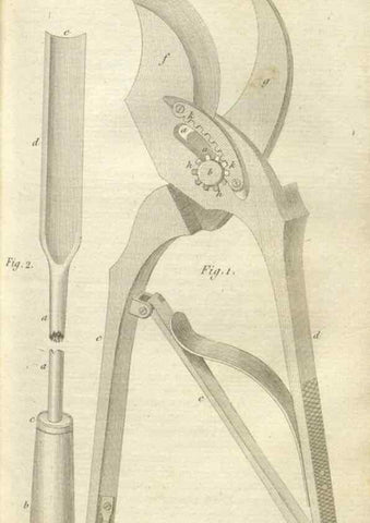 Reproducción/Reproduction 49643837977: Revue horticole.. Paris :Librairie agricole de la maison rustique,1829-1974.. 