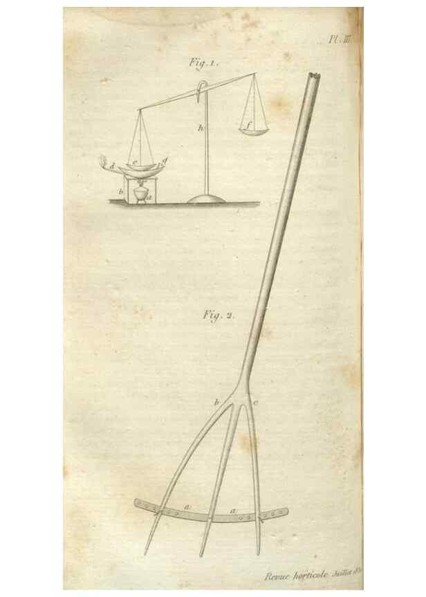 Reproducción/Reproduction 49643035793: Revue horticole.. Paris :Librairie agricole de la maison rustique,1829-1974.. 