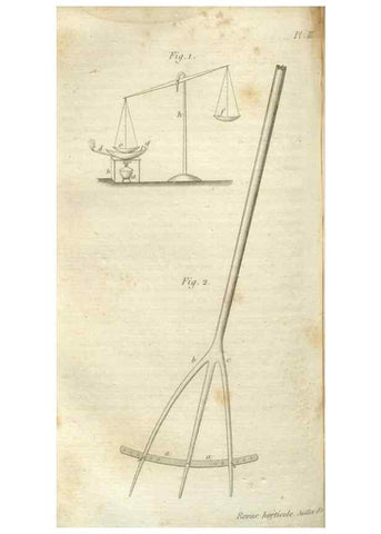 Reproducción/Reproduction 49643035793: Revue horticole.. Paris :Librairie agricole de la maison rustique,1829-1974.. 