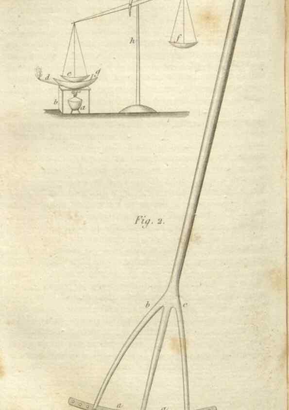 Reproducción/Reproduction 49643035793: Revue horticole.. Paris :Librairie agricole de la maison rustique,1829-1974.. 