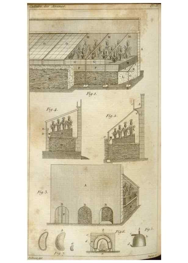 Reproducción/Reproduction 49643838787: Revue horticole.. Paris :Librairie agricole de la maison rustique,1829-1974.. 