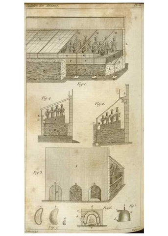 Reproducción/Reproduction 49643838787: Revue horticole.. Paris :Librairie agricole de la maison rustique,1829-1974.. 