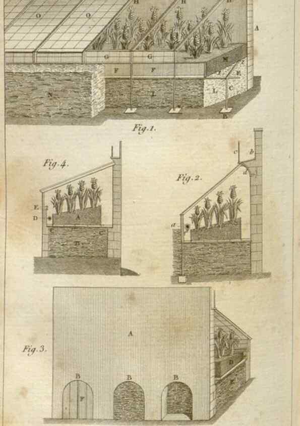Reproducción/Reproduction 49643838787: Revue horticole.. Paris :Librairie agricole de la maison rustique,1829-1974.. 