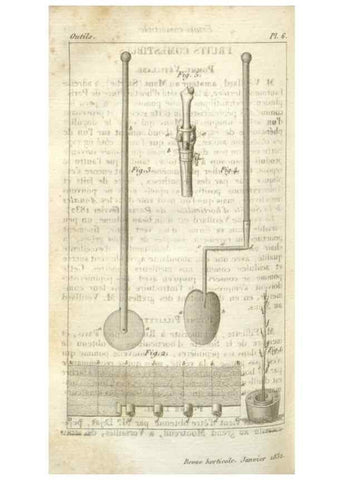 Reproducción/Reproduction 49643839262: Revue horticole.. Paris :Librairie agricole de la maison rustique,1829-1974.. 