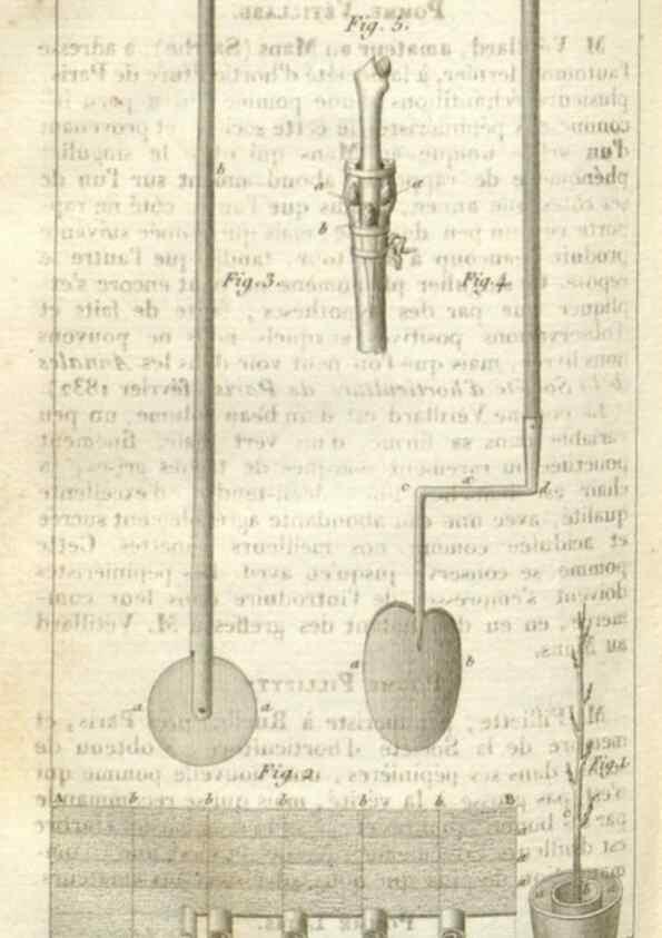 Reproducción/Reproduction 49643839262: Revue horticole.. Paris :Librairie agricole de la maison rustique,1829-1974.. 