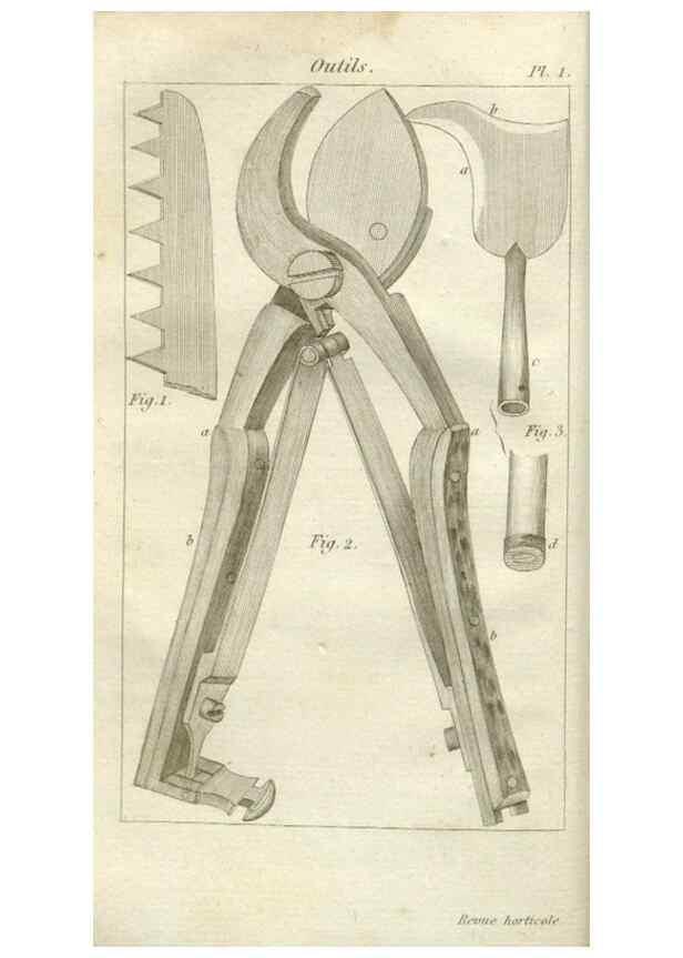 Reproducción/Reproduction 49643034618: Revue horticole.. Paris :Librairie agricole de la maison rustique,1829-1974.. 