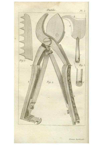 Reproducción/Reproduction 49643034618: Revue horticole.. Paris :Librairie agricole de la maison rustique,1829-1974.. 