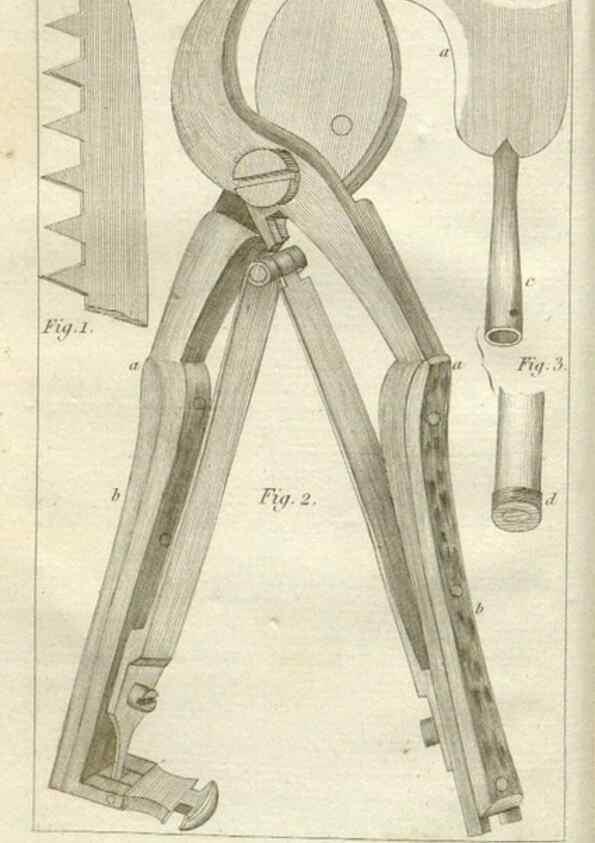 Reproducción/Reproduction 49643034618: Revue horticole.. Paris :Librairie agricole de la maison rustique,1829-1974.. 