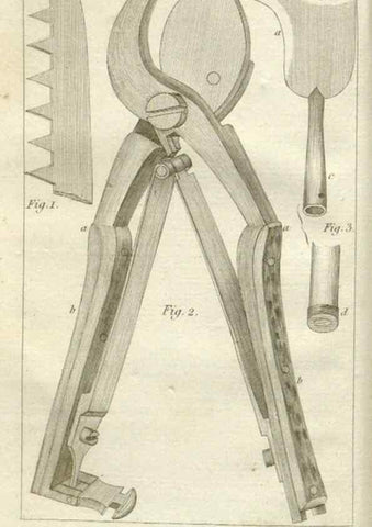 Reproducción/Reproduction 49643034618: Revue horticole.. Paris :Librairie agricole de la maison rustique,1829-1974.. 