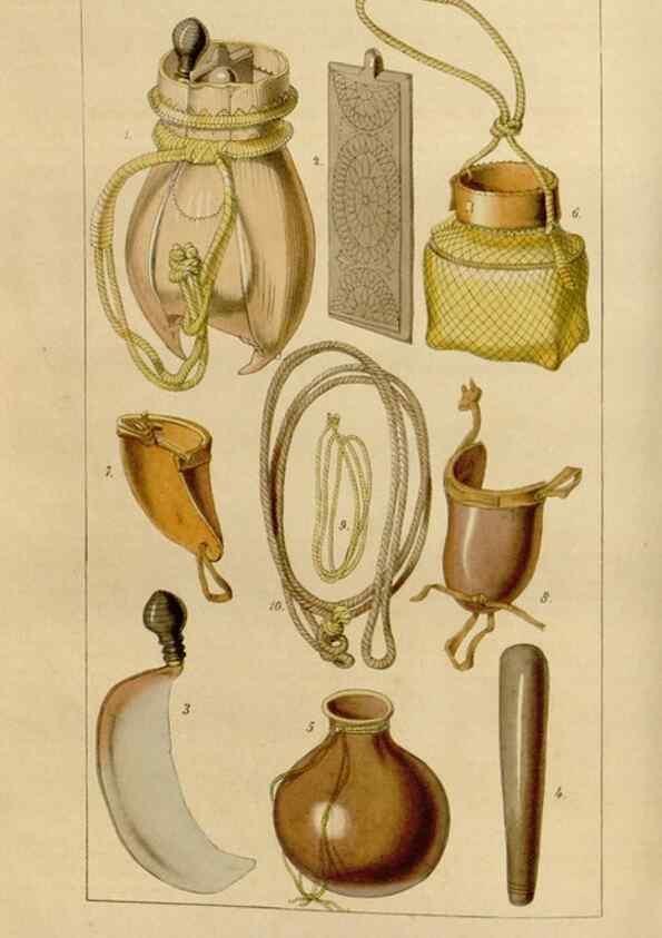 Reproducción/Reproduction 49643736572: Flore des serres et des jardins de l'Europe. A Gand :chez Louis van Houtte, eÌditeur,1845-1880.. 