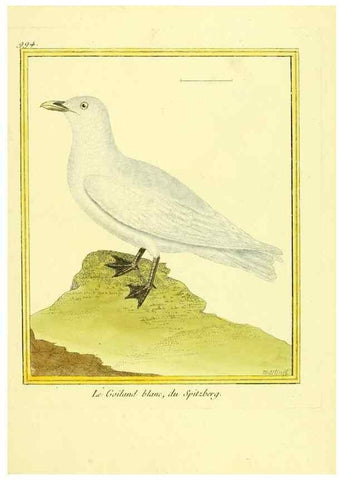 Reproducción/Reproduction 49640804322: Planches enluminées d'histoire naturelle. Paris? :s.n.,1765-1783?. 