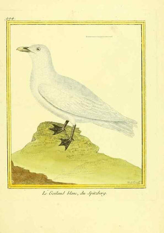 Reproducción/Reproduction 49640804322: Planches enluminées d'histoire naturelle. Paris? :s.n.,1765-1783?. 
