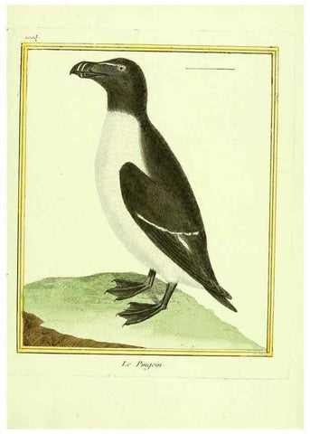 Reproducción/Reproduction 49640533341: Planches enluminées d'histoire naturelle. Paris? :s.n.,1765-1783?. 