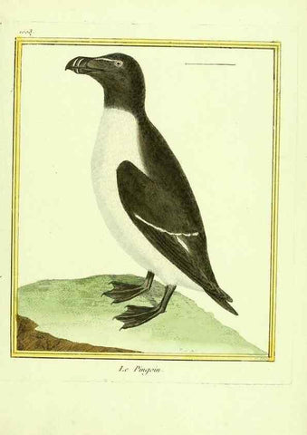 Reproducción/Reproduction 49640533341: Planches enluminées d'histoire naturelle. Paris? :s.n.,1765-1783?. 