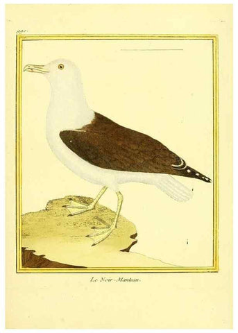 Reproducción/Reproduction 49640529696: Planches enluminées d'histoire naturelle. Paris? :s.n.,1765-1783?. 