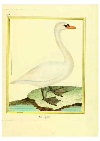 Reproducción/Reproduction 49640507636: Planches enluminées d'histoire naturelle. Paris? :s.n.,1765-1783?. 