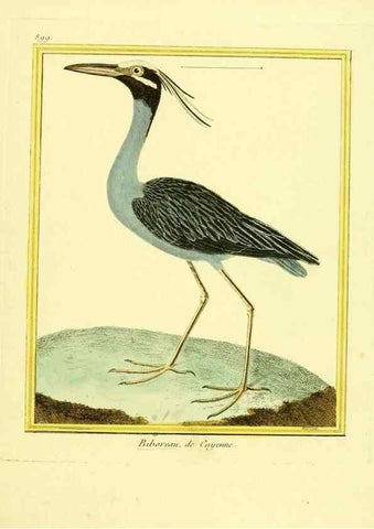 Reproducción/Reproduction 49640479336: Planches enluminées d'histoire naturelle. Paris? :s.n.,1765-1783?. 