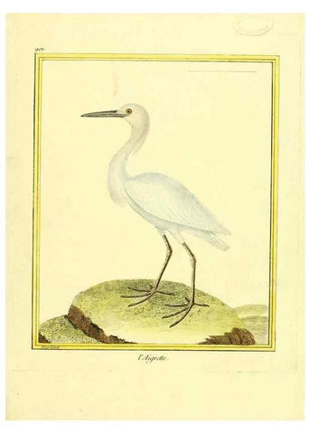 Reproducción/Reproduction 49639980448: Planches enluminées d'histoire naturelle. Paris? :s.n.,1765-1783?. 