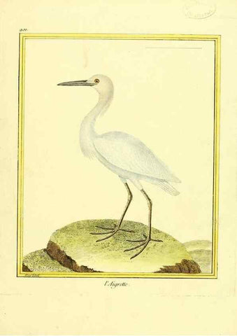 Reproducción/Reproduction 49639980448: Planches enluminées d'histoire naturelle. Paris? :s.n.,1765-1783?. 