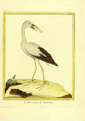 Reproducción/Reproduction 49640513141: Planches enluminées d'histoire naturelle. Paris? :s.n.,1765-1783?. 