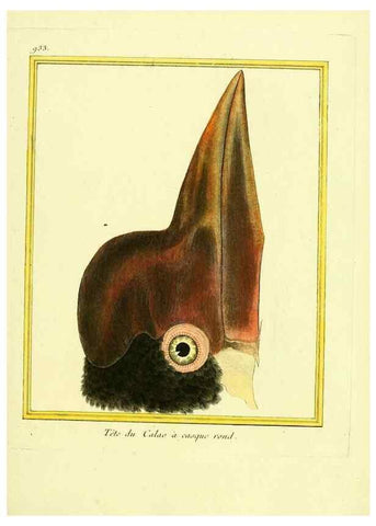 Reproducción/Reproduction 49640513376: Planches enluminées d'histoire naturelle. Paris? :s.n.,1765-1783?. 