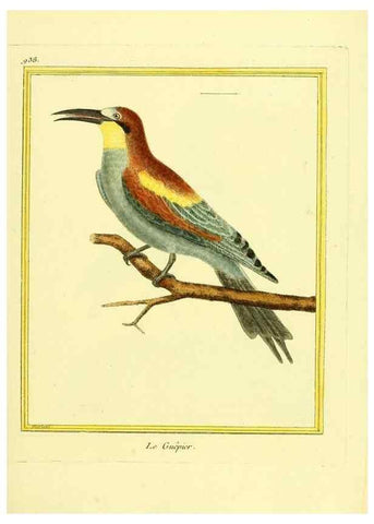 Reproducción/Reproduction 49640787487: Planches enluminées d'histoire naturelle. Paris? :s.n.,1765-1783?. 