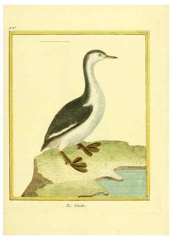 Reproducción/Reproduction 49640788577: Planches enluminées d'histoire naturelle. Paris? :s.n.,1765-1783?. 