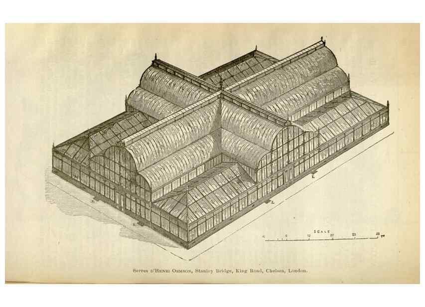 Reproducción/Reproduction 49588054161: Flore des serres et des jardins de l'Europe. A Gand :chez Louis van Houtte, eÌditeur,1845-1880.. 