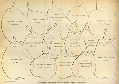 Reproducción/Reproduction 49588299097: Flore des serres et des jardins de l'Europe. A Gand :chez Louis van Houtte, eÌditeur,1845-1880.. 