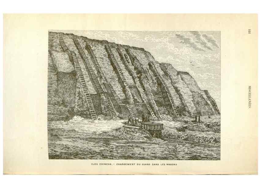 Reproducción/Reproduction 49588180657: Flore des serres et des jardins de l'Europe. A Gand :chez Louis van Houtte, eÌditeur,1845-1880.. 