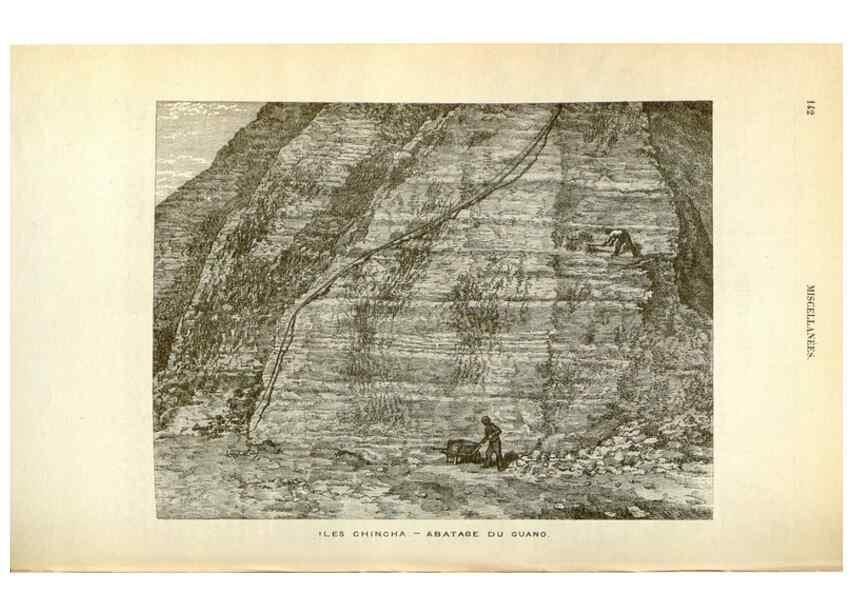 Reproducción/Reproduction 49587441013: Flore des serres et des jardins de l'Europe. A Gand :chez Louis van Houtte, eÌditeur,1845-1880.. 
