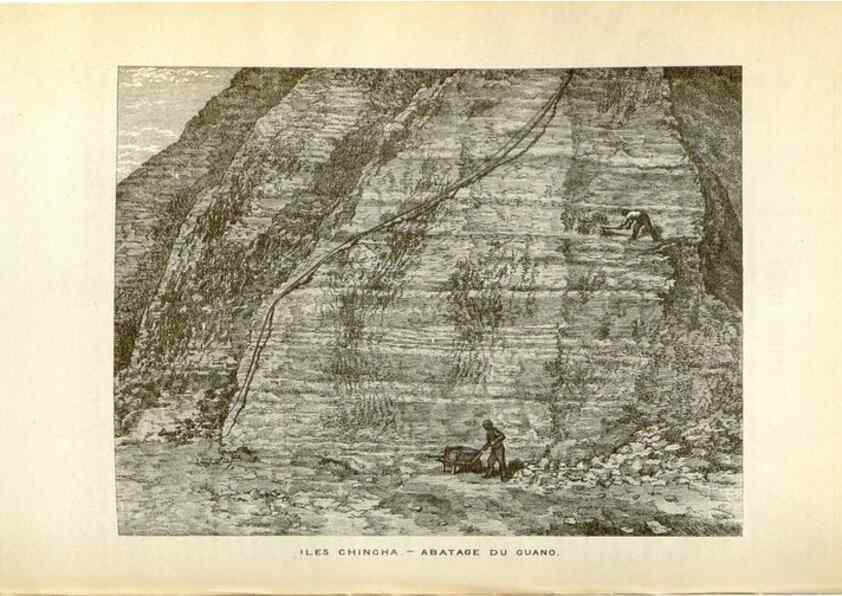 Reproducción/Reproduction 49587441013: Flore des serres et des jardins de l'Europe. A Gand :chez Louis van Houtte, eÌditeur,1845-1880.. 