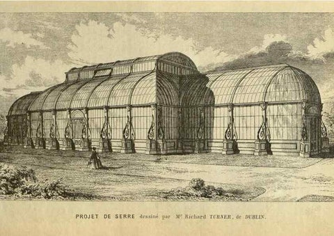 Reproducción/Reproduction 49587676621: Flore des serres et des jardins de l'Europe. A Gand :chez Louis van Houtte, eÌditeur,1845-1880.. 