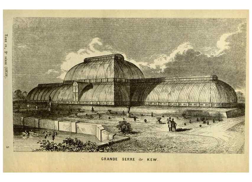 Reproducción/Reproduction 49587680446: Flore des serres et des jardins de l'Europe. A Gand :chez Louis van Houtte, eÌditeur,1845-1880.. 