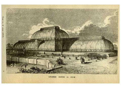 Reproducción/Reproduction 49587680446: Flore des serres et des jardins de l'Europe. A Gand :chez Louis van Houtte, eÌditeur,1845-1880.. 